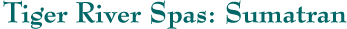 Tiger River Spas: Sumatran Hot Tub Specifications